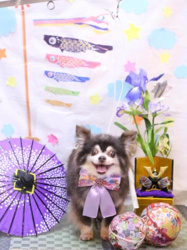 20240524チップくん